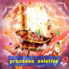 processo seletivo cerejeiras 2024